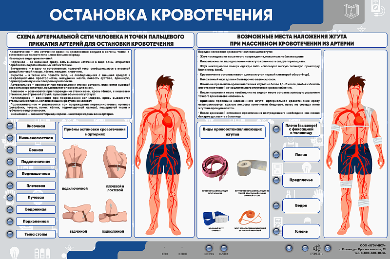 Интерактивный электрифицированный стенд "Остановка кровотечения"